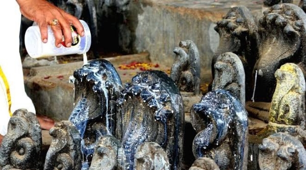 Today is the holy Nag Panchami