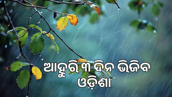 rain
