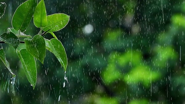 rain