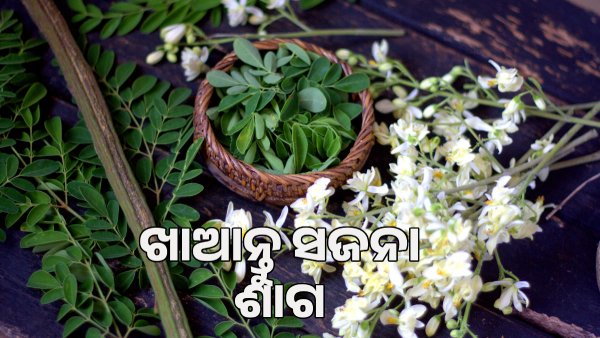 Sajna Chag