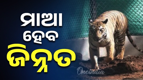 Nandankanan