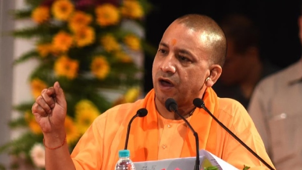 Yogi