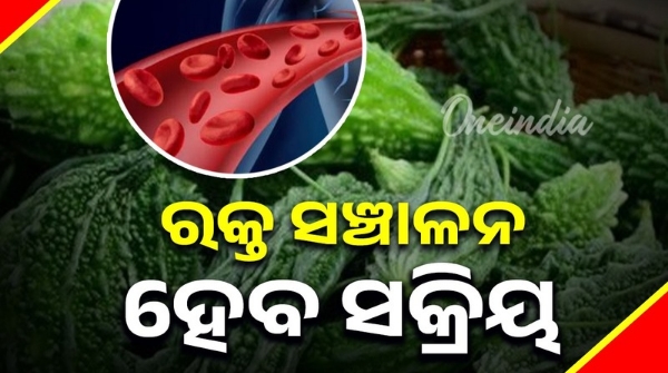 Health Tips bitter gourds improves blood circulation