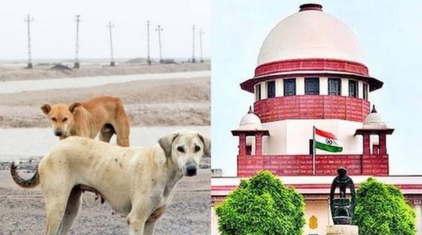 Supreme Court s 3-member bench