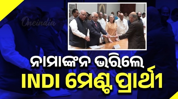 INDI Alliance candidate files nomination for Vice Presidential election