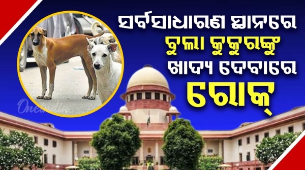 Supreme Court s big verdict on stray dog issue