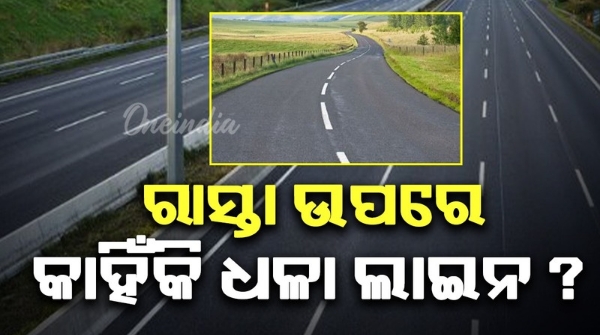 white lines on the road mean