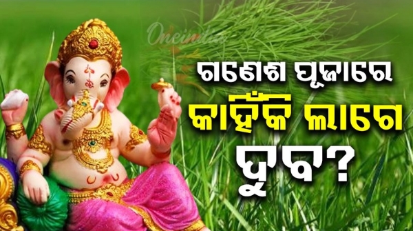 Why is duba used in Ganesh Puja