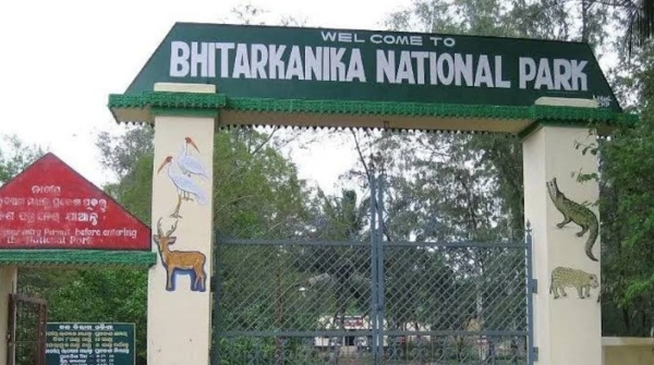 Bird count to begin in Bhitarkanika from today