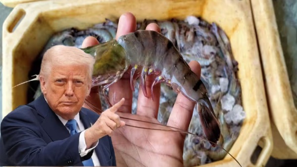 Trump s