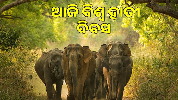 World Elephant Day