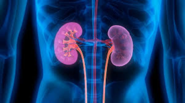 Why does kidney infection occur