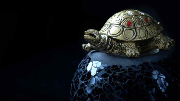 metal turtle