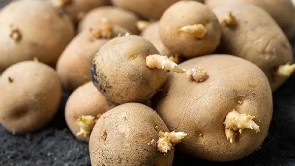 potatoes