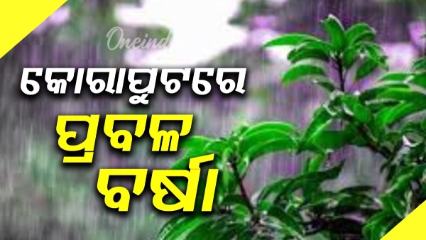 rain