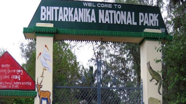 Bhitarkanika 130 796 bird species in Bhitarkanika