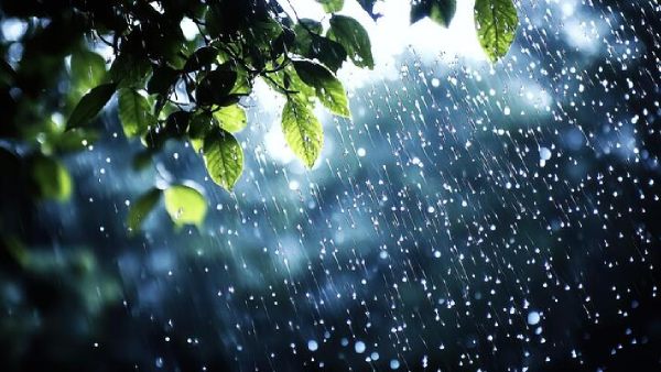 rain
