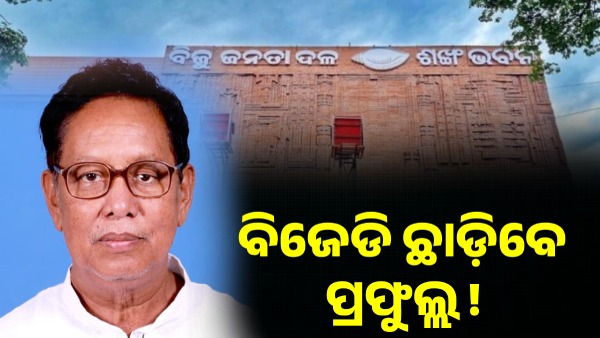bjd