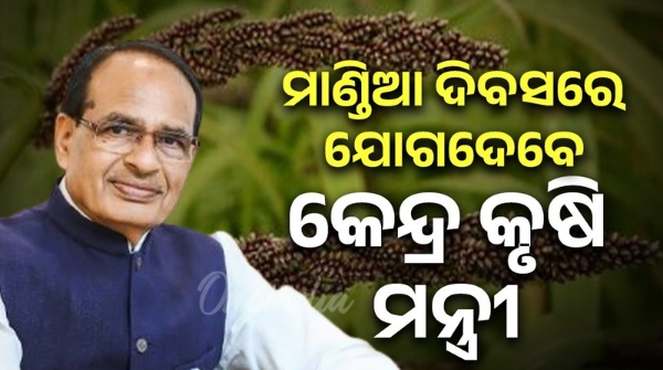 November 10th Millet Day