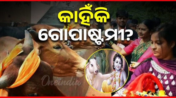 Today is holy Gopashtami