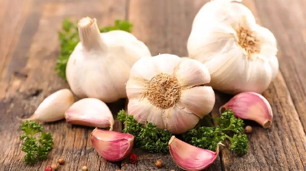 garlic