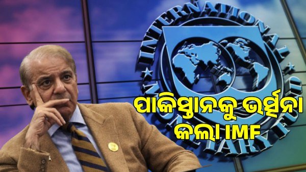 IMF