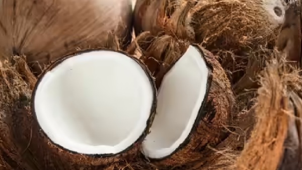 Coconut Coconut