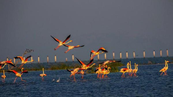 Chilika