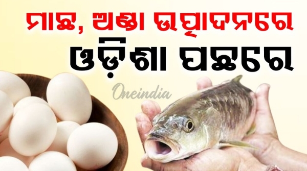 Fish and Egg Odisha lags behind in fish and egg production