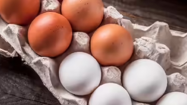 eggs