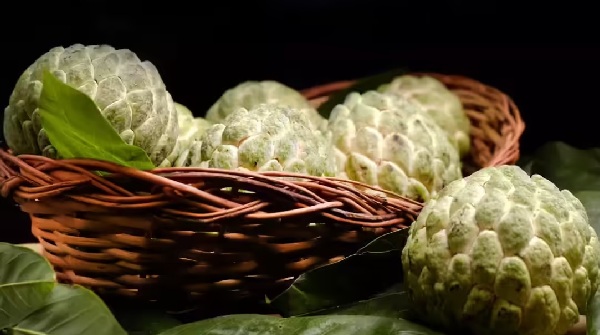 custard apple