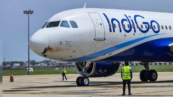 IndiGo