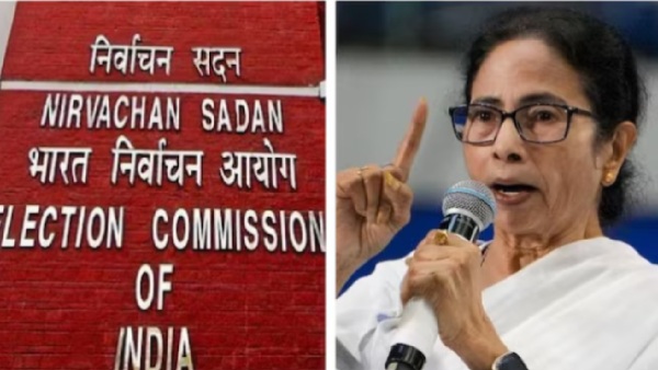 mamata
