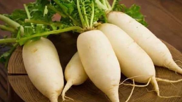 radish