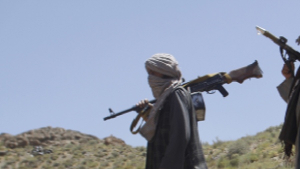 Terrorists Terrorists