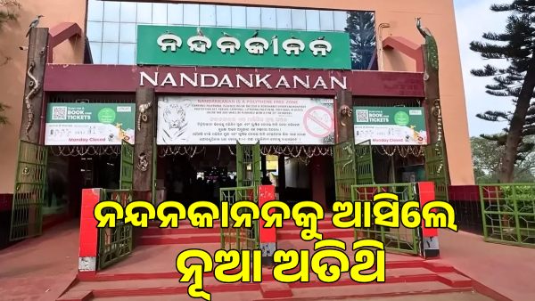 Nandankanan