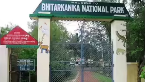 Bhitarkanika