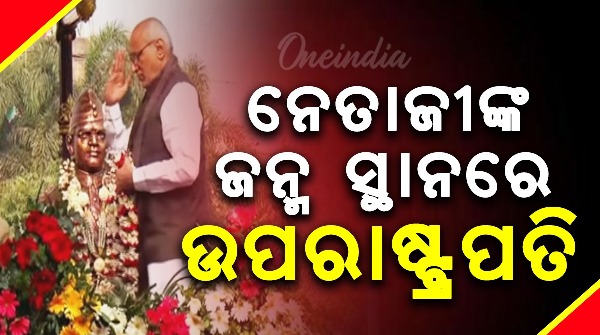 Vice President Vice President