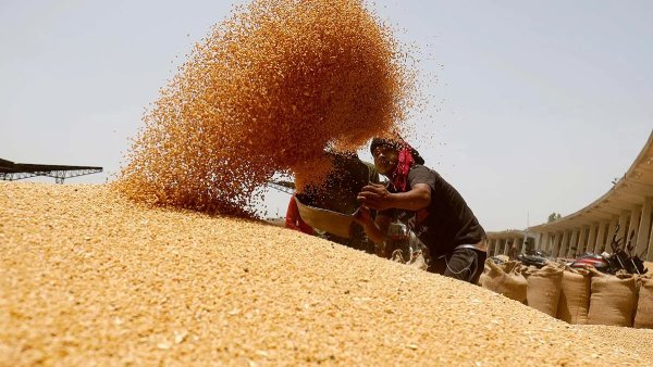 agriculture