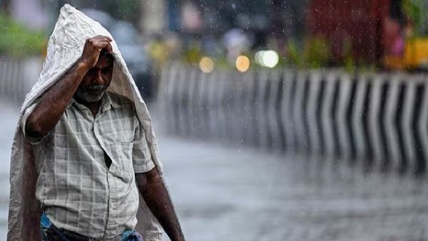 rain