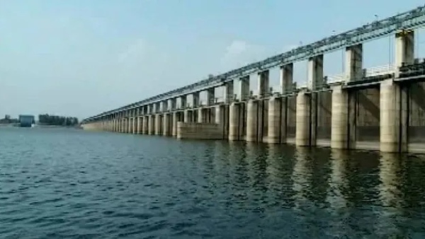 Mahanadi Tribunal