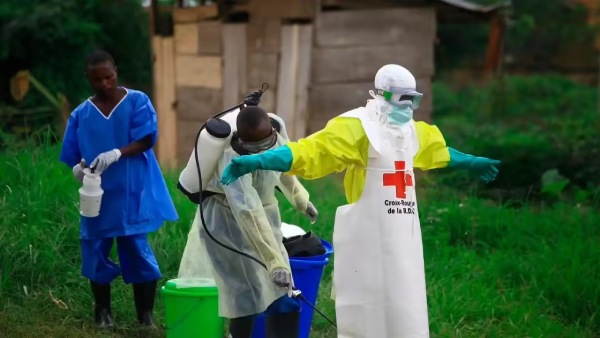 Ebola virus