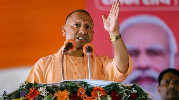 Yogi s Yogi s