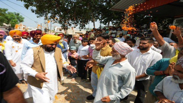 aap campaign
