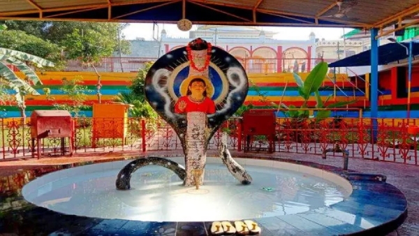 sodal mela