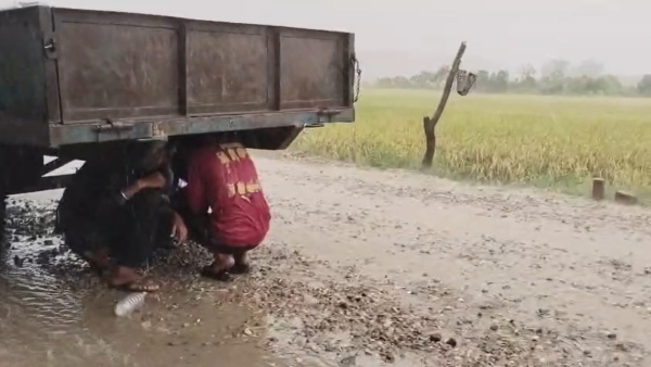rain in punjab