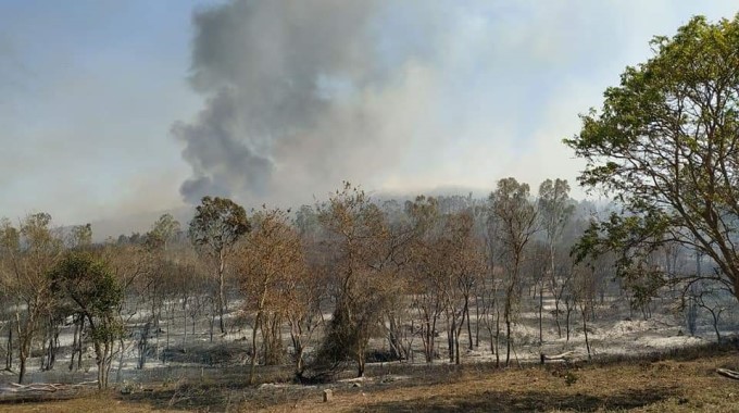 Major Fire Breaks Out At Bandipur Tiger Reserve In Karnataka
