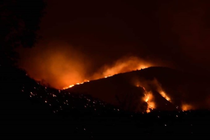 Major Fire Breaks Out At Bandipur Tiger Reserve In Karnataka