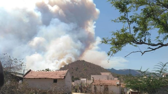 Major Fire Breaks Out At Bandipur Tiger Reserve In Karnataka