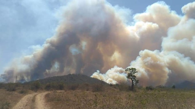 Major Fire Breaks Out At Bandipur Tiger Reserve In Karnataka